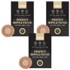 Findew Perfect Nipple Patch Skin Color 100p, 3 Pieces / 파인듀 퍼펙트 니플패치 스킨컬러 100p, 3개