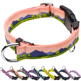 Fidohug Martingale Collar for Dogs with Buckle No Pull Adjustable Nylon Limited Slip Training Dog Collars (Red Sunset, Large)