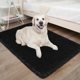 ZJYeRug Small Shaggy Area Rug,2x3 Utral Soft Rug for Living Room,Fuffy Washable Rug for Bedroom,Black Throw Carpet for Nursery,Kid,Decor