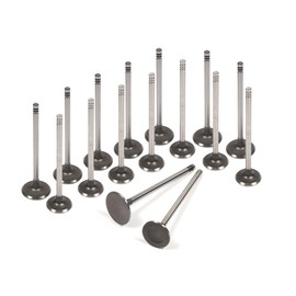 Domestic Gaskets DG-8614979466 Head Gasket Set Intake Exhaust Valves Compatible With/Replacement For 02-05 Chrysler Dodge Neon 2.0L ECB