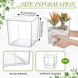Tioncy 12 Pcs Clear Square Vase 6'' x 6'' Acrylic Flower Vase Plastic Vases for Centerpieces Acrylic Cube Plastic Vases Bulk Succulent Pots Planters for Plant Wedding Home Office Floral Decor