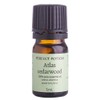 Perfect Potion Pure Essential Oil - Atlas Cedarwood, 5ml