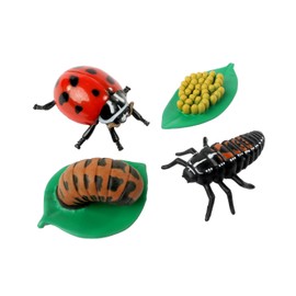 Insect Lore Ladybug Life Cycle - 4 PC Insect Figure Shows Life Of Lady Bug