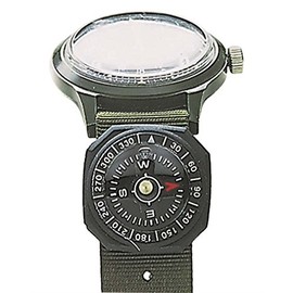 Compass- wristwatch