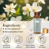 Fragrance Essential Oils Set - 14pcs, Aromatherapy Oils for Skin,