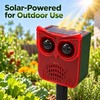 Outdoor Solar Motion Sensor Animal Repeller – Dog Barking &