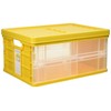 Nakabayashi CFC-TC-301KY Therapy Kids Color Folding Container with Mini Lid