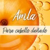 Garnier Fructis Shampoo 2 e n1 Borrador de Dano Largo