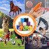 12 Rollos Vendaje Deportivo Autoadhesivo, Cinta Cohesiva Elástica de 5cm