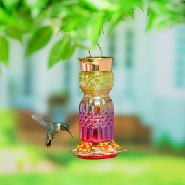 Evergreen Garden Iridescent Glass Hummingbird Feeder, 31 Ounces Hanging Bird Feeder Outdoors for Garden, Patio (Orange Ombre)
