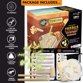 Dino Fossil Dig Kit for Kids 4-12 Discover Learn with Interactive Guide, Realistic Bones Excavation Tools Paleontology Science Prehistoric Dinosaurs Archaeology Adventure STEM Educational Toy Ages 4-8