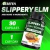 Slippery Elm Capsules with Turmeric | Elderberry | Echinacea |