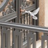 Pack of 10 Plastic Bird Deterrent Spikes for Birds, Pigeon,