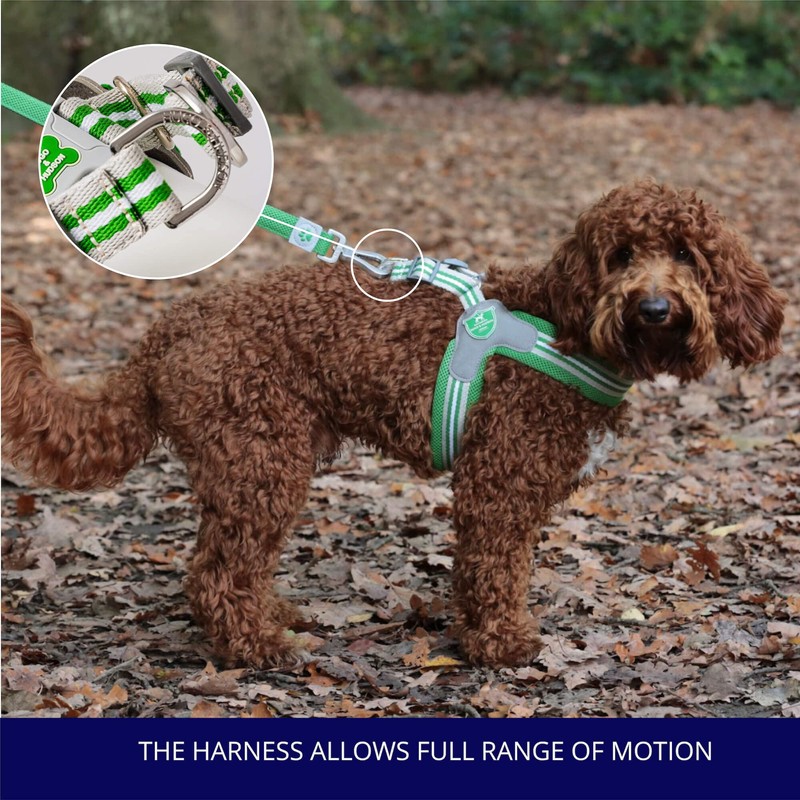 HUGO & HUDSON Easy Walk Dog Harness Adjustable No-Pull Step-in