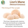 Organic Lions Mane mushroom powder extract by Ecogenya - Proudly