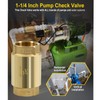1 1/4 Inch Brass Check Valve for Well Pump, One