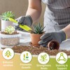 Doter Succulent & Cactus Soil Potting Mix 1qt, Chunky Dirt