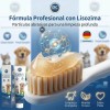 Crema Dental Pet Clean Sabor Carne Para Perros Y Gatos