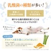 MY DEAR ANIMAL Lactic Acid Bacteria Supplement, For Dogs, Cestose