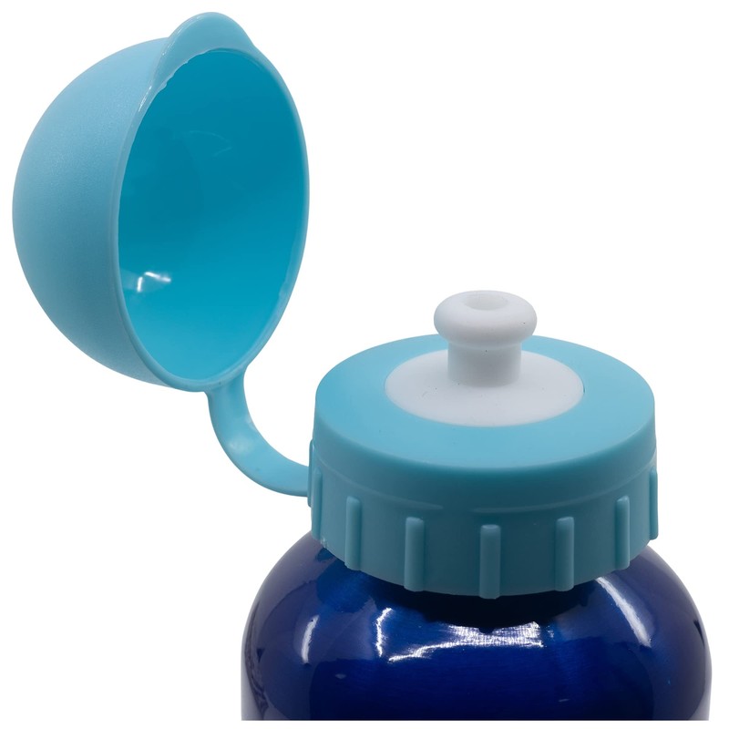 400ML KIDS ALUMINIUM BOTTLE | STITCH PALMS
