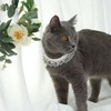Coollooda Cat Collar, Cat Collar, Lace, White, PU Leather, Cute,