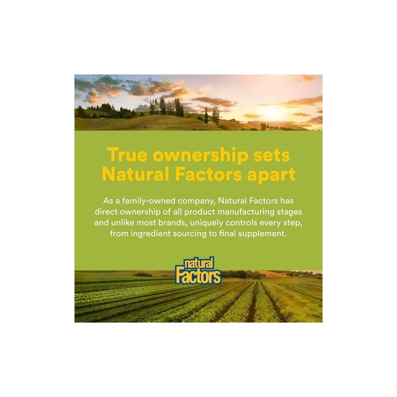 Natural Factors Bromelaína 500mg 90 Cápsulas Sin Sabor