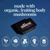 Alice Mushrooms Nightcap | Mushroom Chocolates | Supports Deep Sleep,