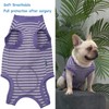 Caslfuca Dog Surgery Recovery Suit - After Spay, Abdominal Wounds