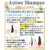 Astino Premium Shampoo 2 (Eco Bottle Type), 13.5 fl oz