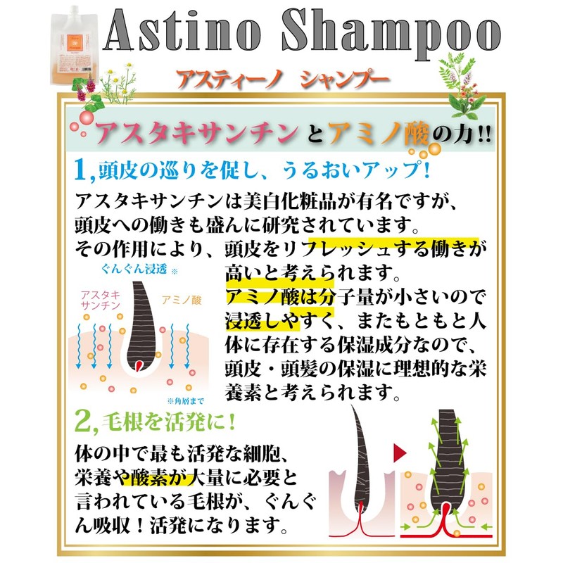 Astino Premium Shampoo 2 (Eco Bottle Type), 13.5 fl oz