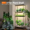 Bstrip Plant Shelf with Grow Light with Timer, Plant Stand