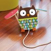 Skip Hop Treetop Owl Pull Toy