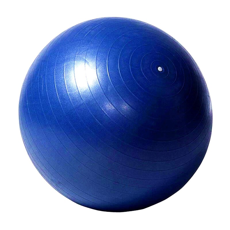 Herding Ball for Horse, 40" Anti-Burst Giant Soccer Ball Toy