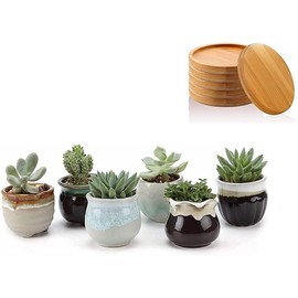 Small Ceramic Succulent Planter Pots with Drainage Hole Set of 6 and 2 Inch Planter Pot Bamboo Saucer Round Set of 6