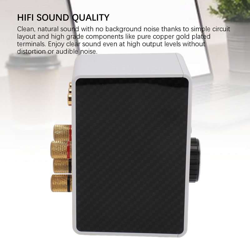 200W Bluetooth 5.0 Amplifier HIFI Stereo Sound Digital Amp Wireless