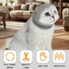 Cat Bubble Muzzle for Cats That Bite Transparent Muzzle for