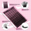 ALICE 280Pcs 위스피 개별 속눈썹 DIY 연장 8-16MM D-컬리 클러스터