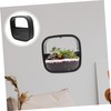 Outanaya Wall Hanging Succulent Planter Modern Hydroponic Vase for Indoor