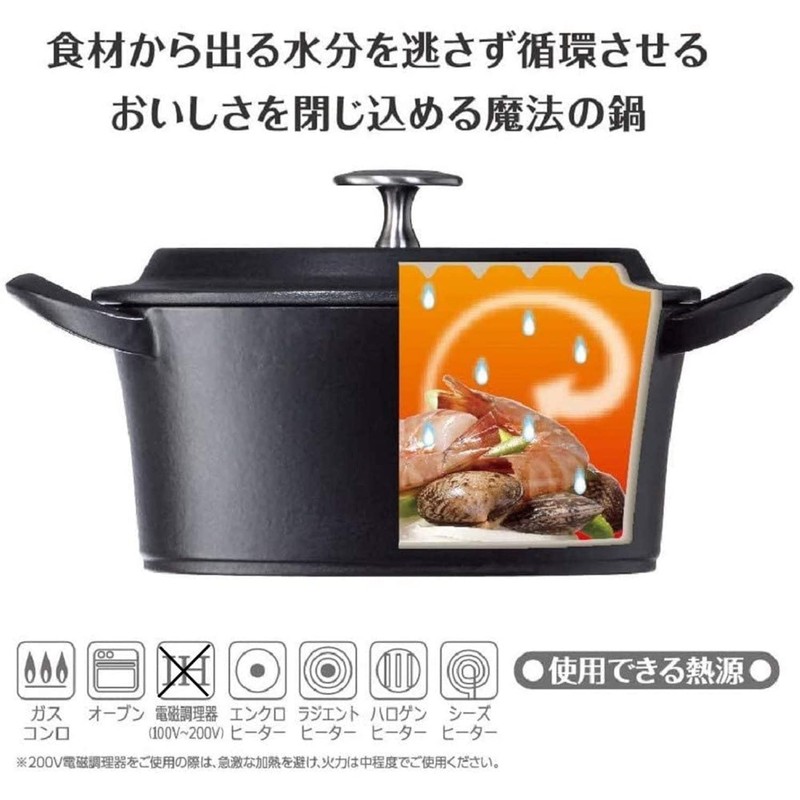 Ishigaki Cast Iron Two-Handled Pot, 3.5 inches (9 cm), Width
