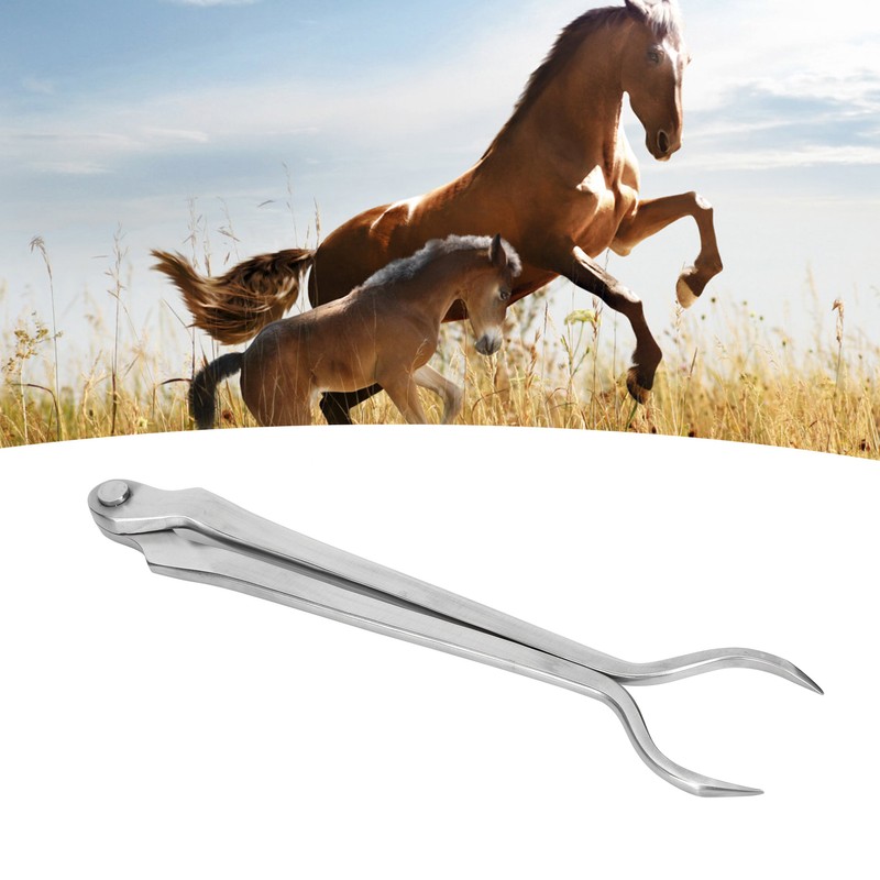 SIRIUSTIMES Hot Fitting Horse Hoof Veterinary Instruments Heavy Steel Farriers