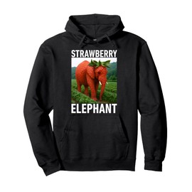 Strawberry Elephant Italian Brainrot Meme Shirt for Kids Pullover Hoodie