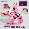 Light Up Dog Harness & Leash with 3 Light Modes