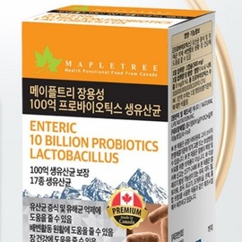 Partner company Mate Foltree Enteric Coated 10 Billion Probiotics Live Lactobacillus 500mg x 60 Capsules / 메이트폴트리 장용성 100억 프로바이오틱스 생유산균 500mg  x 60캡슐