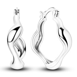 Earring for Women, 925 Sterling Silver Irregularity Hoop Earring, Fashion Birthday Jewelry Gifts, Silver, sliver
