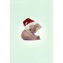 Zoo Babies Koala Bear Nobleworks John Butler Cute Christmas Card