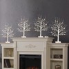 Birch Tree with LED Lights Set of 4, Lighted Birch
