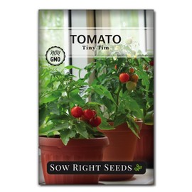 Sow Right Seeds - Tiny Tim Tomato Seeds for Planting - Non-GMO Heirloom Packet with Instructions to Plant and Grow an Outdoor Home Vegetable Garden - Perfect Container Variety - Gardening Gift (1)