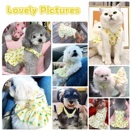 PETPUBGNZS Small Dog Dress Harness and Leash Set Cute Princess Birthday Dog Dresses Soft Fruit Print Puppy Dresses Girl Dog Clothes for Small Dogs Cats Chihuahua Yorkie Shih Tzu (Yellow Pineapple,M)