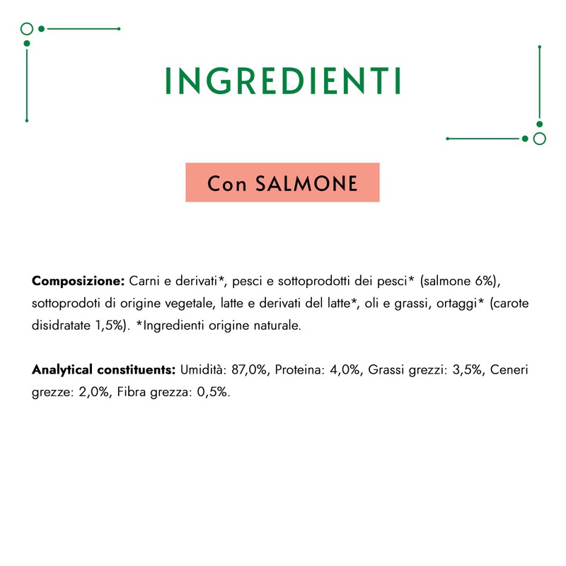 GOURMET Pure Salmon 11X5X10GR