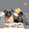 LaSyL Weighted Blanket for Pets | Thunder Blanket for Dogs
